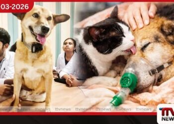 පේරාදෙණිය පශු වෛද්‍ය පීඨයේ  සතුන්ගේ ජීවකයන් බිහි කිරීමට  සිය ජීවිතය කැප කළ හාමිනා සමුගනී