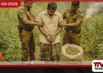යාල වනයේදී ගිනි අවියක් සහ ගංජා සමඟ අයෙක් දැලේ
