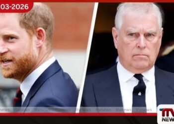 ඇන්ඩෲ මවුන්ට්බැටන්-වින්ඩ්සර්ගේ අත්අඩංගුවට ගැනීම පිළිබඳ ප්රශ්නයට හැරී කුමරු ප්රතිචාර දක්වයි