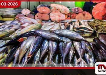 අලුත් අවුරුද්දට අලුත් මාළු සහන මිලට ධීවර සංස්ථාවෙන් විශේෂ සහන වැඩපිළිවෙළක්