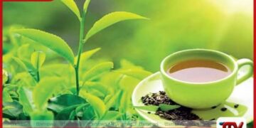 මැදපෙරදිග යුද්ධයෙන් මෙරට තේ අපනයනයෙන් 52%ක් අහිමිවීමේ අවදානමක්