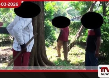 අලිවැට රැකීමට සිටි සේවකයන් කාන්තාවකගේ වත්ත සුද්ද කිරීමට ගිහින්