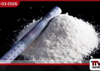 විනෝදාස්වාදය සඳහා භාවිතා කරන මත්ද්රව්ය මගින් ආඝාත (Stroke) අවදානම දෙගුණයකින් ඉහළ නංවන බව හෙළි වෙයි