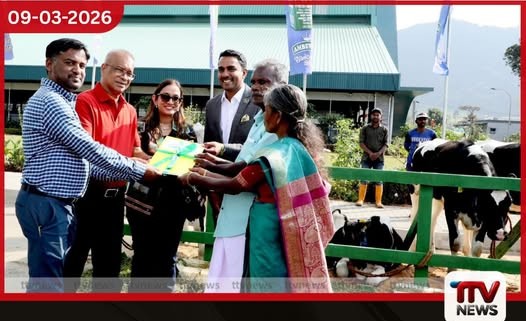 දේශීය කිරි නිෂ්පාදනය ඉහළ නැංවීමට නව වැඩපිළිවෙළ රැසක් ක්රියාත්මකයි