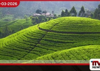 ඉරාන – ඇමෙරිකා යුද්ධයෙන් මෙරට තේ කර්මාන්තයට දැඩි බලපෑම්