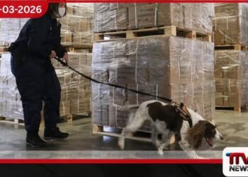 බෙල්ජියම ‘මත්ද්රව්ය රාජ්යයක්’ වීමේ අවදානමක පවතින බවට විනිසුරුවරුන්ගෙන් අනතුරු ඇඟවීමක්