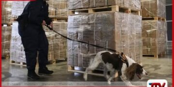 බෙල්ජියම ‘මත්ද්රව්ය රාජ්යයක්’ වීමේ අවදානමක පවතින බවට විනිසුරුවරුන්ගෙන් අනතුරු ඇඟවීමක්