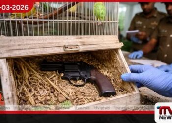 කුරුළු කූඩුවක සැඟවූ රිවෝල්වරයක් කඩුවෙලින් අල්ලයි
