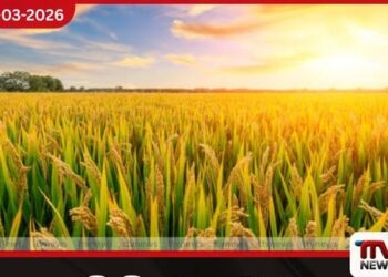 වී මිලදී ගැනීමට රු. මිලියන 10,000 ඉක්මවූ අතිරේක ප්‍රතිපාදන රජයෙන් තීරණයක්