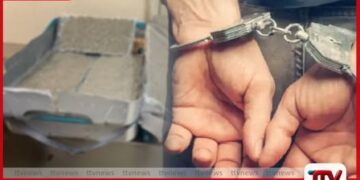 කටුනායක ගුවන්තොටුපොළේදී  රුපියල් කෝටි ගණනක කුෂ් මත්ද්‍රව්‍ය සමඟ  ඉන්දීය ජාතිකයෙකු අත්අඩංගුවට