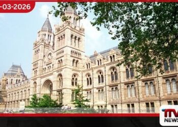 සිම්බාබ්වේ නිදහස් සටනේ විරුවන්ගේ සිරුරු කොටස් යළි ලබා දෙන ලෙස බ්රිතාන්යයෙන් ඉල්ලීමක්