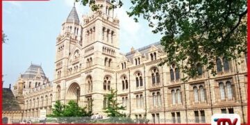 සිම්බාබ්වේ නිදහස් සටනේ විරුවන්ගේ සිරුරු කොටස් යළි ලබා දෙන ලෙස බ්රිතාන්යයෙන් ඉල්ලීමක්