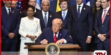 ඔවුන් පිළිකාවක් වැනියි