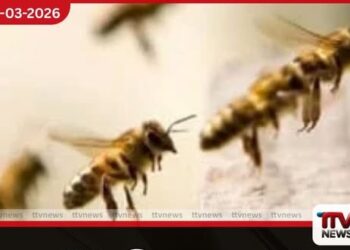 කැකිරාවේ පාසලක බඹර ප්‍රහාරයක්