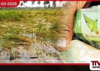 ආපදා හේතුවෙන් හානියට පත් තේ, පොල් සහ රබර් වගාවන් නැවත ඇරඹීමට රජයෙන් මූල්ය සහන