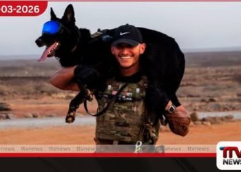 K9 ප්‍රවීණයන්ගේ දිනය වන මාර්තු 13 වනදා ඇමෙරිකානු හමුදා සේවා සුනඛයන් අගයයි