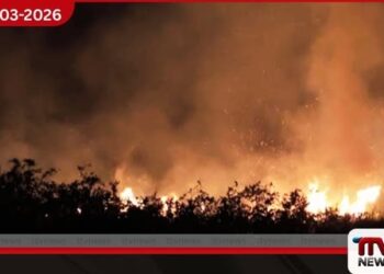 බණ්ඩාරගම මාරගස් හන්දිය ප්‍රදේශයේ කුඹුරු යායක දරුණු ගින්නක් හටගෙන නිවාස කරා පැතිරීමේ අවදානමක් හමුවේ ගිනි නිවන ඒකක සීරුවෙන්