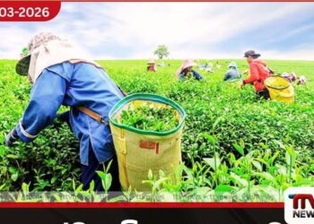 ඉන්ධන මිල ඉහළ යාම  තේ කර්මාන්තයට මරු පහරක් දලු මිලෙන් රුපියල් 5ක් කැපෙයි