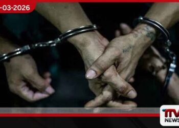 වාලම්පූරියක් ලක්ෂ දෙකහමාරකට විකුණන්න ගිය දෙදෙනකු කටුකුරුන්දේදී කොටු වෙයි