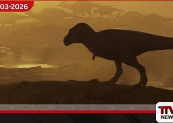 නිව් මෙක්සිකෝවෙන් හමුවූ  දැවැන්ත අස්ථිය T. rex ගේ සමීපතම  නෑයෙකුගේ බව තහවුරු වෙයි