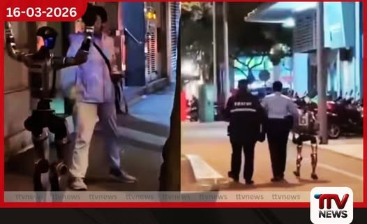 මැකාවුහිදී මහලු කාන්තාවක් බියට පත්කළ හියුමනොයිඩ් රොබෝවරයෙකු පොලිස් භාරයට