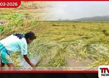 මහ කන්නයේ වගා හානි වන්දි ගෙවීමට ක්ෂේත්ර පරීක්ෂණ ඇරඹෙයි