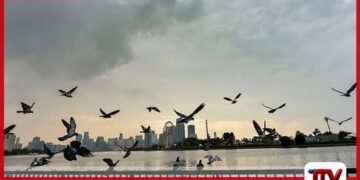 එක්සත් අරාබි එමීර් රාජ්‍යයට  වැසි සහ මීදුම් සහිත කාලගුණයක් උෂ්ණත්වය ද ඉහළට