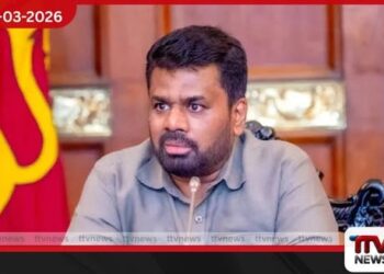 ලංවිම අහෝසි කර විදුලි සමාගම් පිහිටුවීම බලශක්ති සුරක්ෂිතතාවටයි