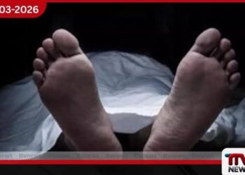 නැදුන් ගසක් කපමින් සිටි පුද්ගලයෙකු බිමට ඇද වැටී මරුට