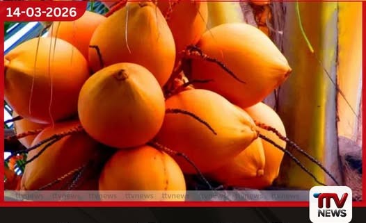 මැදපෙරදිග යුද්ධය නිසා තැඹිලි අපනයනය නතර වෙයි