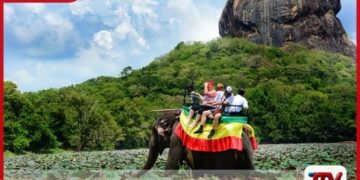 සංචාරක ක්ෂේත්‍රයේ ඉන්ධන අවශ්‍යතා සපුරාලීමට නව බලපත්‍ර ක්‍රමයක්