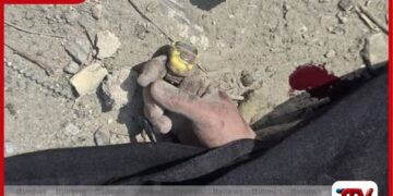 ෂිරාස් නුවර දහවල් යාඥාව අතරතුර එල්ල වූ බෝම්බ ප්‍රහාරයෙන් සිවිල් වැසියන් පිරිසක් ජීවිතක්ෂයට