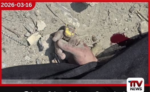 ෂිරාස් නුවර දහවල් යාඥාව අතරතුර එල්ල වූ බෝම්බ ප්‍රහාරයෙන් සිවිල් වැසියන් පිරිසක් ජීවිතක්ෂයට