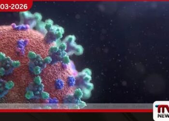 ඇමෙරිකාව පුරා සීඝ්‍රයෙන් පැතිර යන HMPV වෛරසය