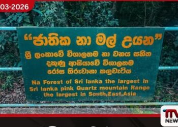 ජාතික නාමල් උයන ජාතික උරුමයක් ලෙස ප්‍රකාශයට පත් කිරීමට කැබිනට් අනුමැතිය හිමිවෙයි