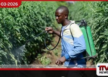 හෝමූස් සමුද්‍ර සන්ධියේ අර්බුදය අප්‍රිකානු රටවල ආහාර සුරක්ෂිතතාවයට දැඩි තර්ජනයක් එල්ල කරයි