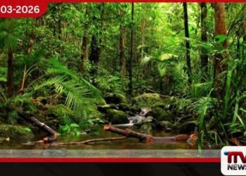 ජගත් වනාන්තර දිනය වෙනුවෙන් මෙරට වනාන්තර 50ක් අලුතින් රක්ෂිත බවට පත් කෙරේ