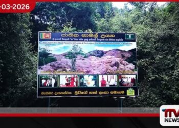 ජාතික නාමල් උයන ජාතික උරුමයක් ලෙස ප්රකාශයට පත් කිරීමට කැබිනට් අනුමැතිය