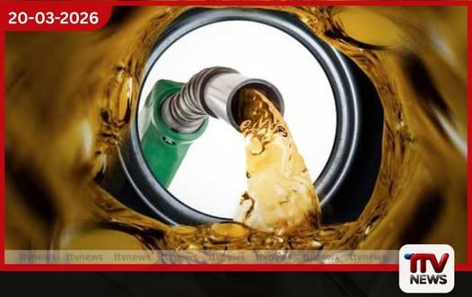 හංවැල්ලේදී ඩීසල් ලීටර් 720ක් සඟවාගෙන සිටි පුද්ගලයන් දෙදෙනෙකු අත්අඩංගුවට