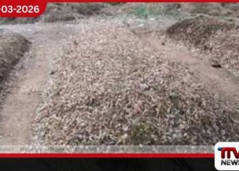 කෘෂි අපද්‍රව්‍යවලින්  ගෑස් නිපදවීමට නෝර්වේ රාජ්‍යයේ සහය