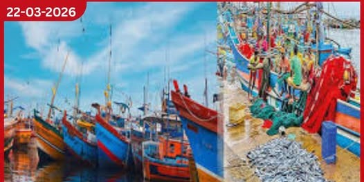 ධීවර කර්මාන්තය දැඩි අර්බුදයක සහන නැතිව බහුදින යාත්රා දිරාපත් වෙයි