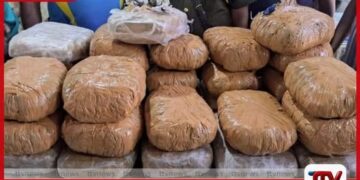 රුපියල් කෝටි 1.7ක් වටිනා  කේරළ ගංජා තොගයක් සමඟ  පුද්ගලයෙකු මීගමුවේදී අත්අඩංගුවට