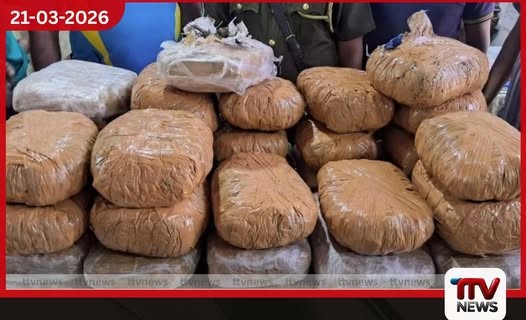 රුපියල් කෝටි 1.7ක් වටිනා කේරළ ගංජා තොගයක් සමඟ පුද්ගලයෙකු මීගමුවේදී අත්අඩංගුවට