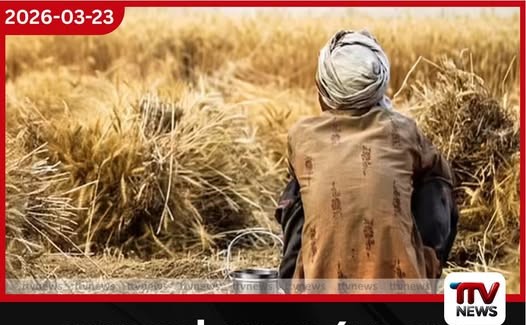 අයහපත් කාලගුණය සහ ඉන්ධන මිල ඉහළ යෑම හමුවේ මහවැලි ගොවියෝ දැඩි අර්බුදයක