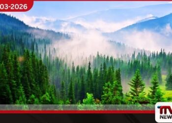 ලෝක වනාන්තර දිනය අදයි