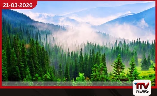 ලෝක වනාන්තර දිනය අදයි