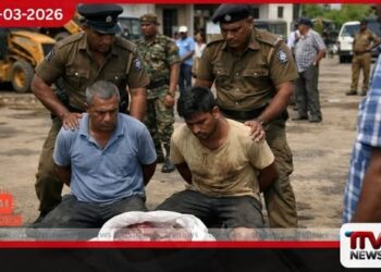 මුව මස් තොගයක් සමඟ මාර්ග සංවර්ධන අධිකාරියේ සේවකයින් දෙදෙනෙකු අත්අඩංගුවට