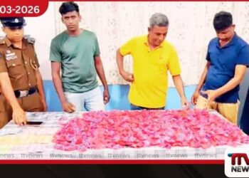 මස්කෙළියේ ආයුර්වේද ඔසුසලක මුවාවෙන් මදන මෝදක විකුණූ 20 හැවිරිදි තරුණයෙක් දැලේ