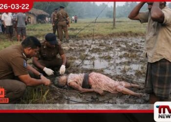 බලපිටියේදී කුඹුරක වැඩ කරමින් සිටි 76 හැවිරිදි මාතාවක් විදුලි සැර වැදී මියයයි