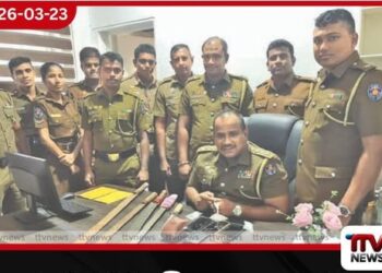 ඇල්ටෝ ධර්මේ සහ සැන්ඩ්රෝගේ පාතාල ජාලය කොටු වෙයි